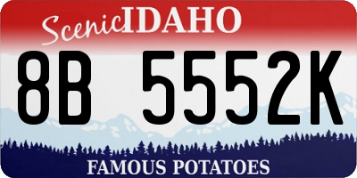 ID license plate 8B5552K