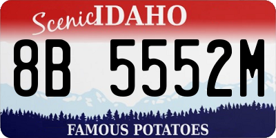 ID license plate 8B5552M