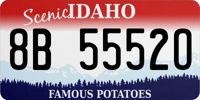 ID license plate 8B5552O