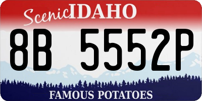 ID license plate 8B5552P