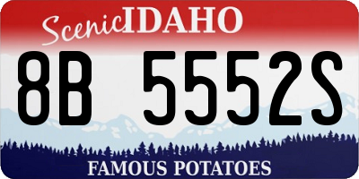 ID license plate 8B5552S
