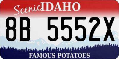 ID license plate 8B5552X