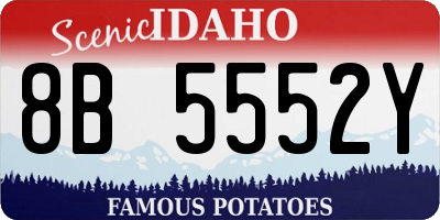 ID license plate 8B5552Y