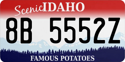 ID license plate 8B5552Z