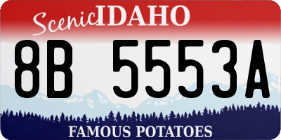 ID license plate 8B5553A