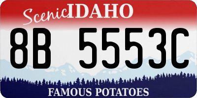 ID license plate 8B5553C