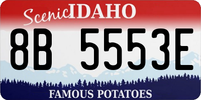 ID license plate 8B5553E