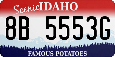 ID license plate 8B5553G