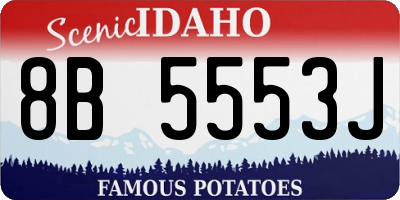 ID license plate 8B5553J