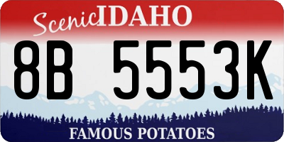 ID license plate 8B5553K