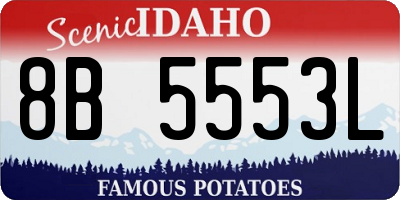 ID license plate 8B5553L