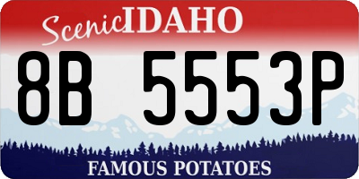ID license plate 8B5553P