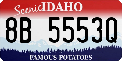 ID license plate 8B5553Q