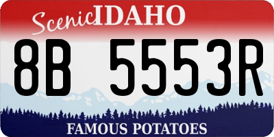 ID license plate 8B5553R