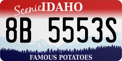 ID license plate 8B5553S