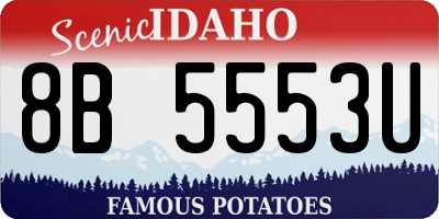 ID license plate 8B5553U