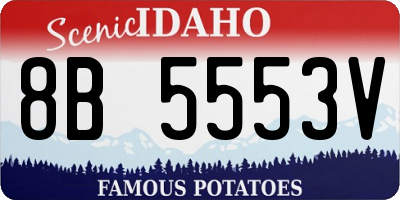 ID license plate 8B5553V