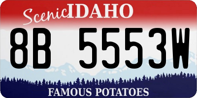 ID license plate 8B5553W