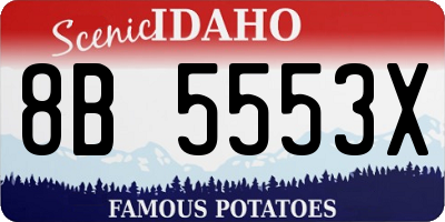 ID license plate 8B5553X