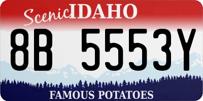 ID license plate 8B5553Y