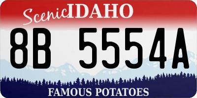 ID license plate 8B5554A