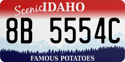 ID license plate 8B5554C