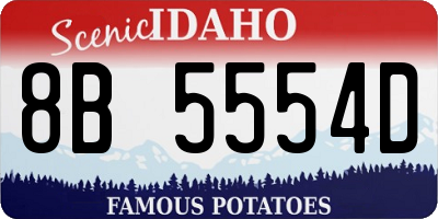 ID license plate 8B5554D