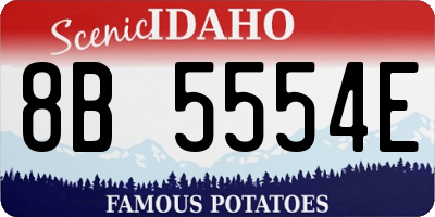 ID license plate 8B5554E