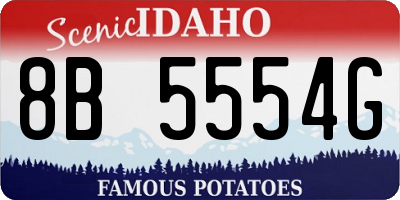 ID license plate 8B5554G