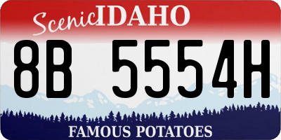ID license plate 8B5554H