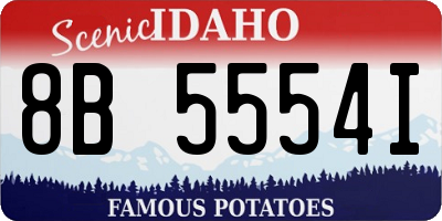 ID license plate 8B5554I
