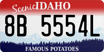 ID license plate 8B5554L