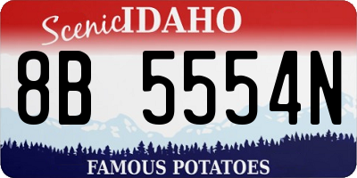 ID license plate 8B5554N