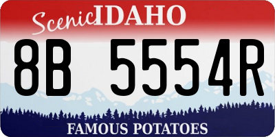 ID license plate 8B5554R
