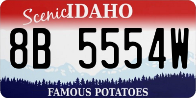 ID license plate 8B5554W