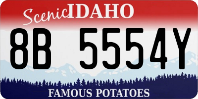 ID license plate 8B5554Y