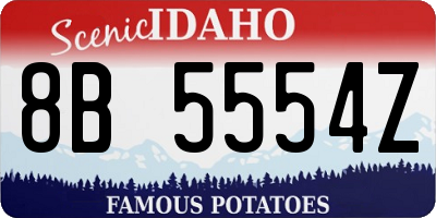 ID license plate 8B5554Z