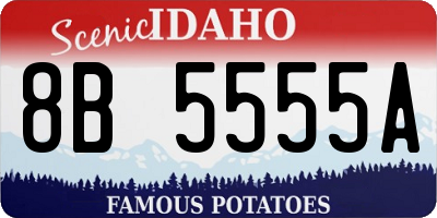 ID license plate 8B5555A