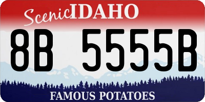 ID license plate 8B5555B