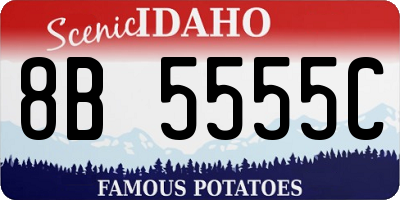 ID license plate 8B5555C