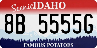 ID license plate 8B5555G