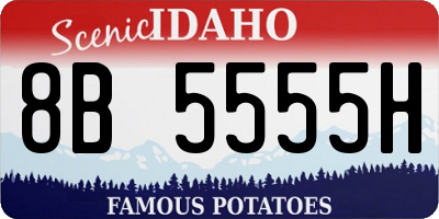 ID license plate 8B5555H
