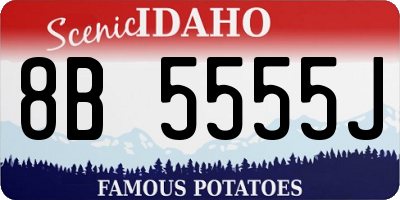 ID license plate 8B5555J
