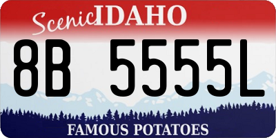 ID license plate 8B5555L