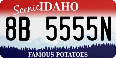 ID license plate 8B5555N