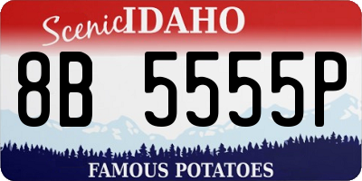 ID license plate 8B5555P
