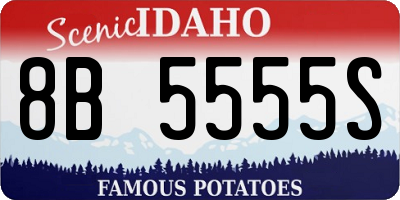 ID license plate 8B5555S