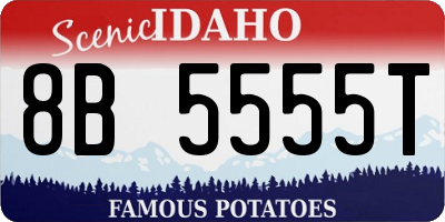 ID license plate 8B5555T