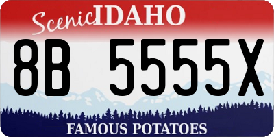 ID license plate 8B5555X