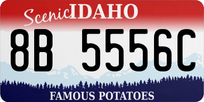 ID license plate 8B5556C